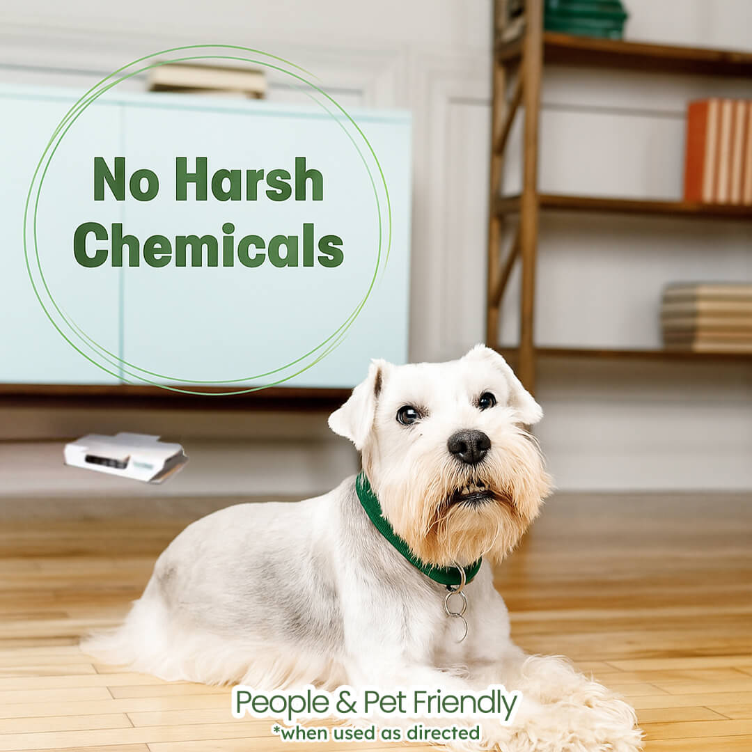 Cockroach Catcher