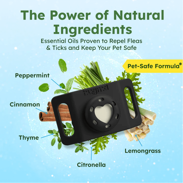 Paw Guardian Dog