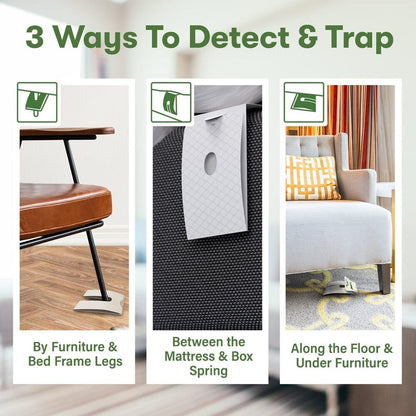 The Bed Bug Traps